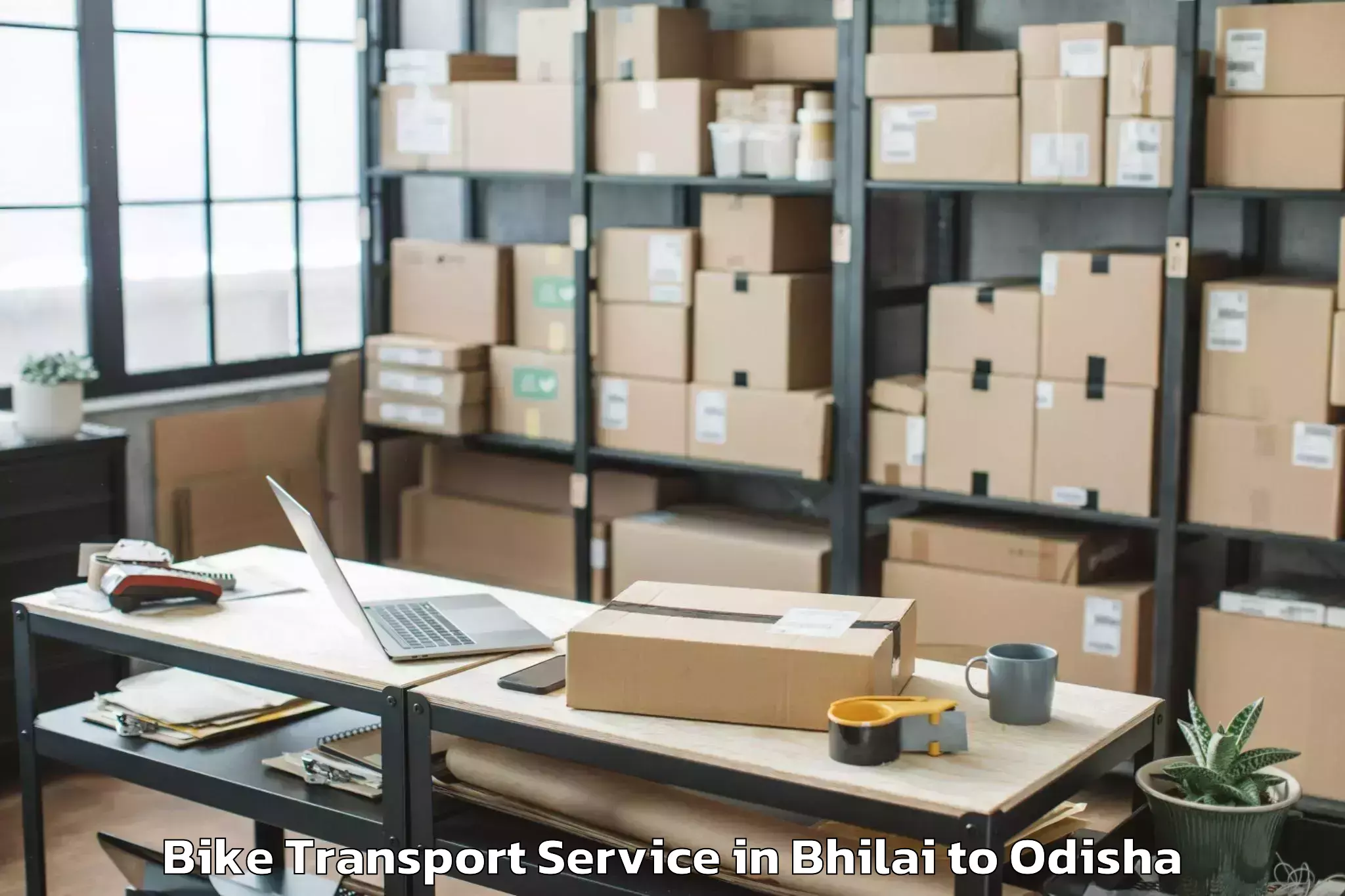 Top Bhilai to Raikia Bike Transport Available